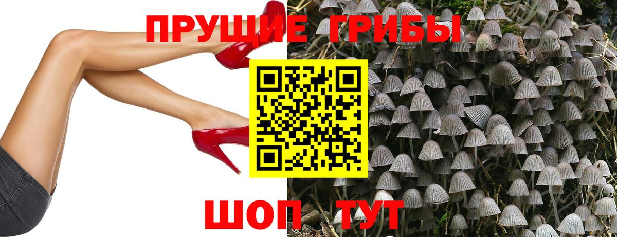 Галлюциногенные грибы мухоморы Майкоп