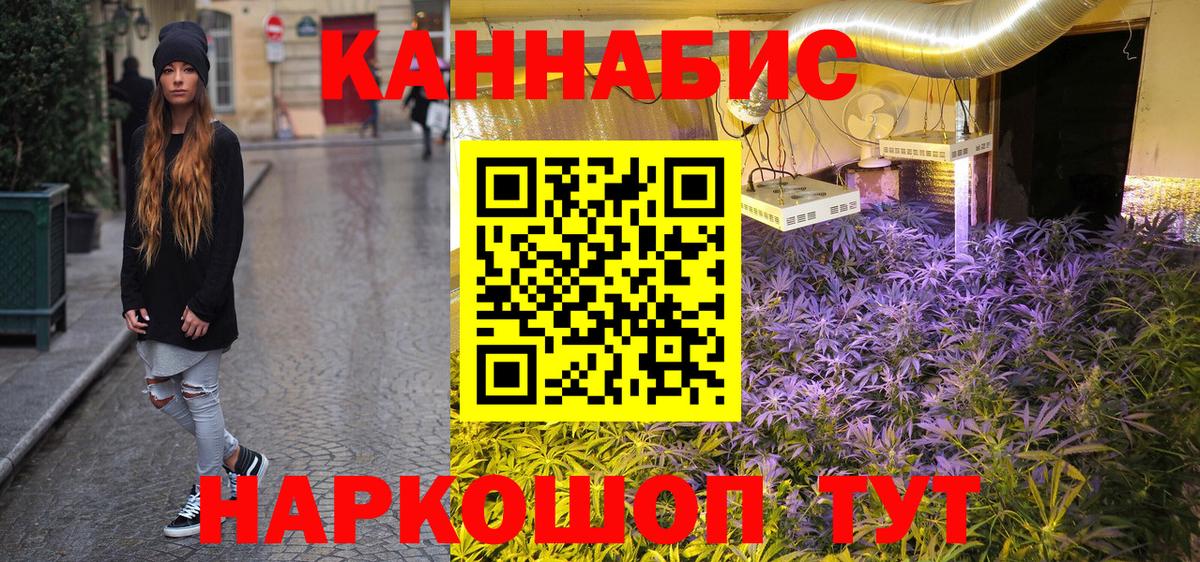 Шишки марихуана план  Вход с VPN  Канабис ГИДРОПОН  Марихуана план  Майкоп 